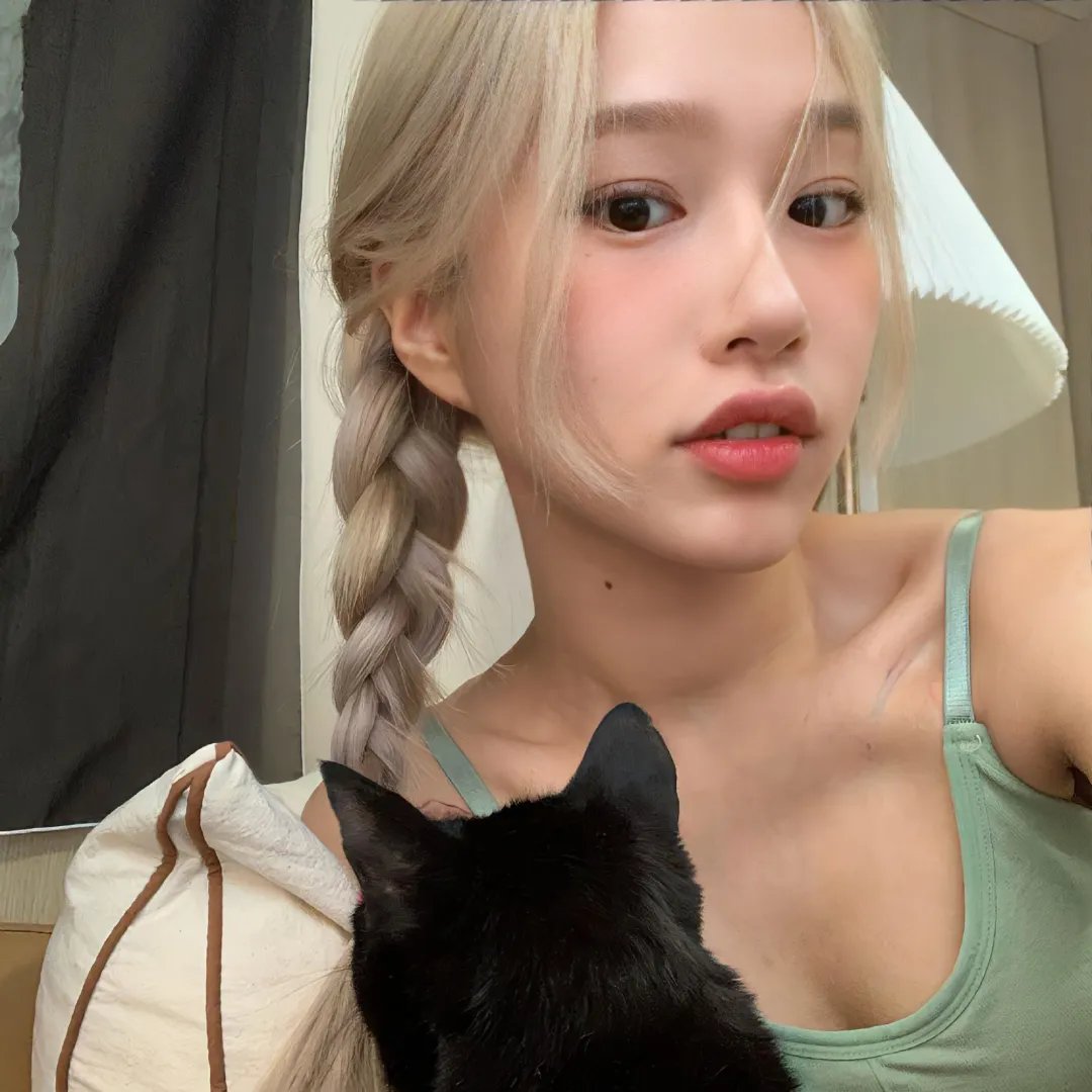 蜘蛛的策略